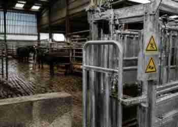 Farm safety funding allocated for health and wellbeing initiatives in Kerry