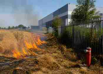 London wildfire risk reaches extreme levels amid prolonged heatwave