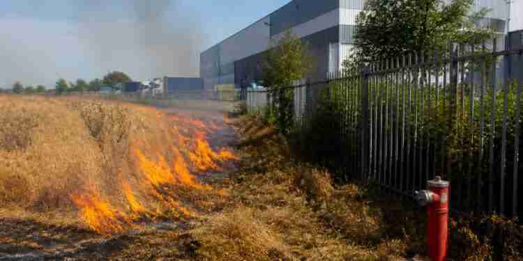 London wildfire risk reaches extreme levels amid prolonged heatwave
