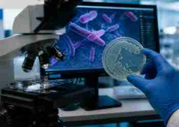 Legionella cell invasion involves mimicking proteins to hijack human cells