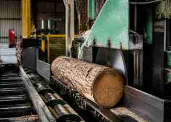 Sawmill safety fine for Cornwall firm after ignoring enforcement notices Sawmill safety fine for Cornwall firm after ignoring enforcement notices