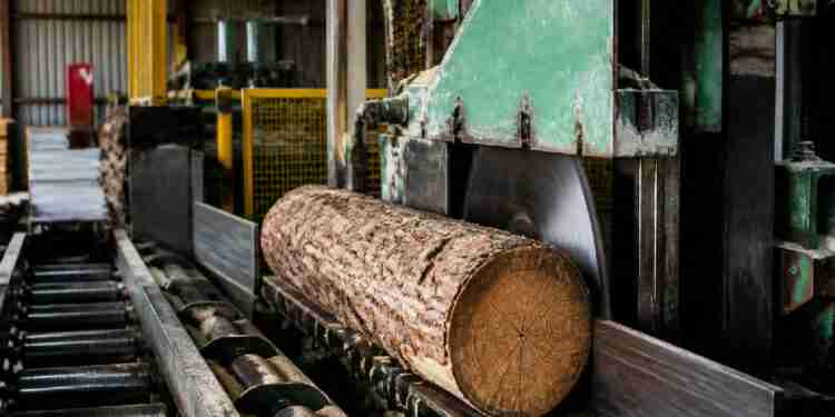 Sawmill safety fine for Cornwall firm after ignoring enforcement notices