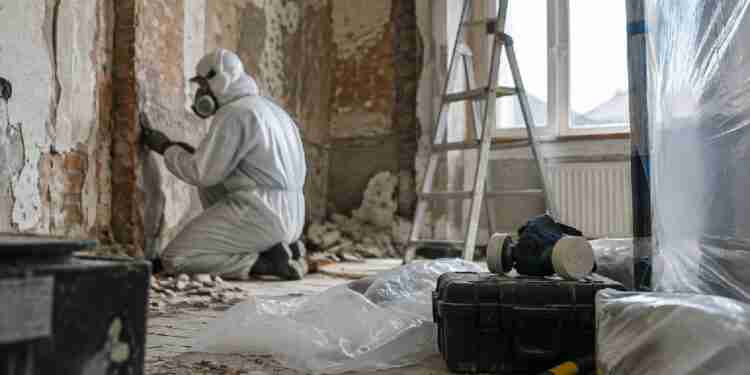 asbestos risk highlighted in Ottawa renovation analysis