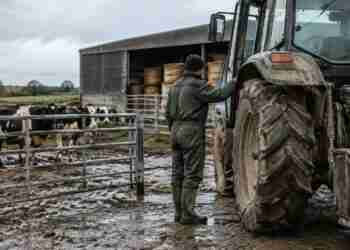farm safety codes clarify duties for farmers farm safety codes clarify duties for farmers